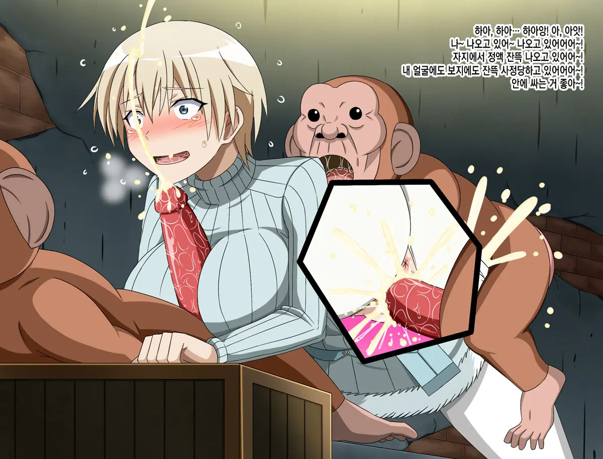 Super Hentai CG Shuu 15 Saru Ni Kawareru Mesu Dorei